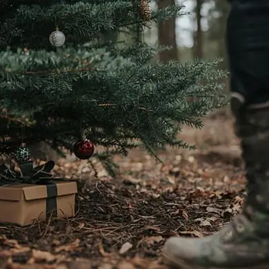 Locandina: METTERE IN ORDINE IL NATALE