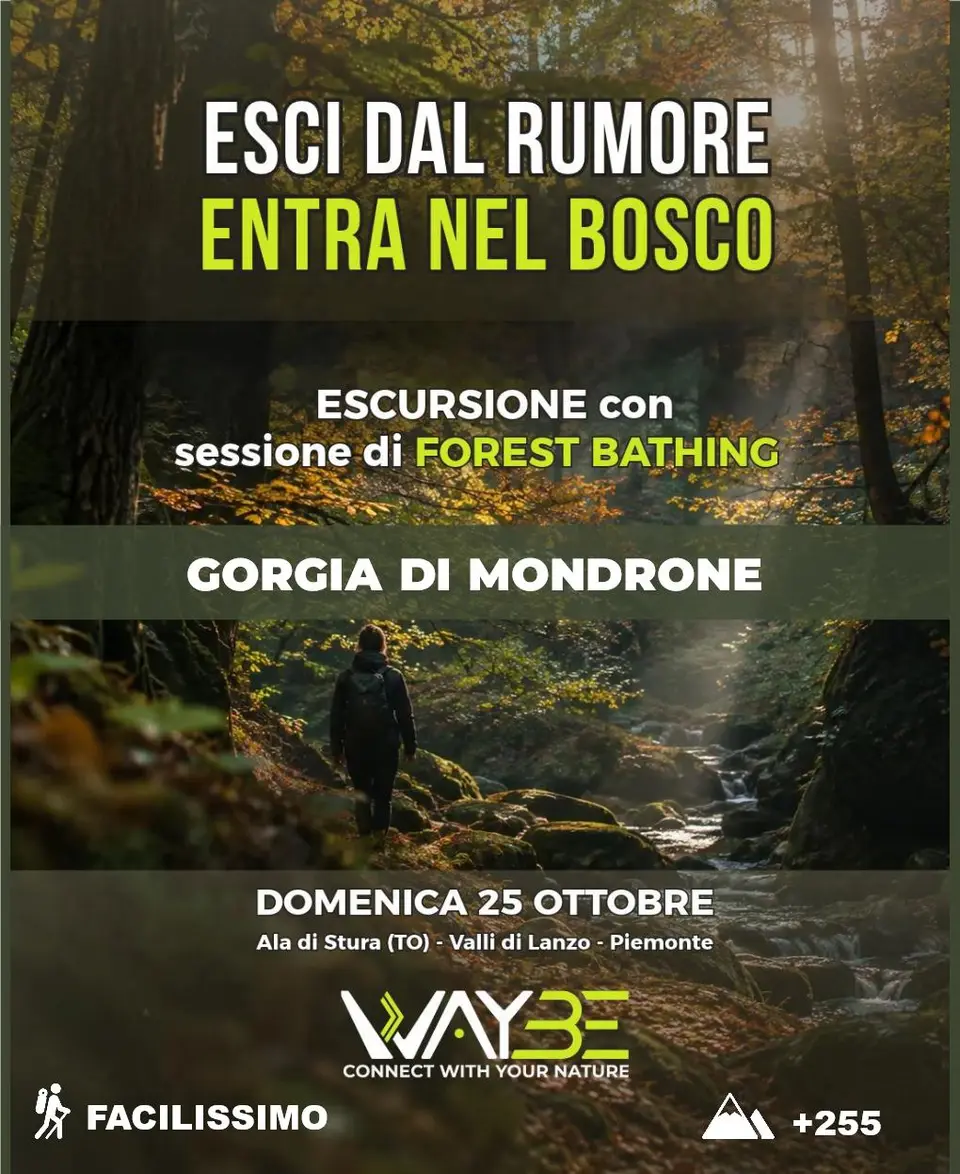 Locandina: GORGIA DI MONDRONE