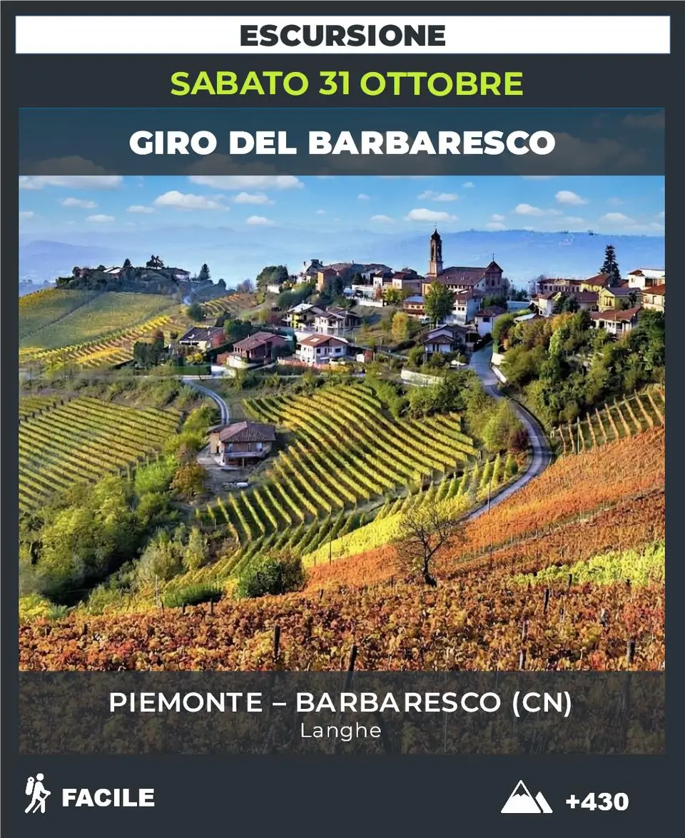 Locandina: BARBARESCO