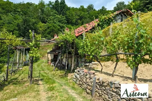 Locandina: Una panoramica cappella, uno strano mulino e bellissime vigne: escursione ad anello a Levone