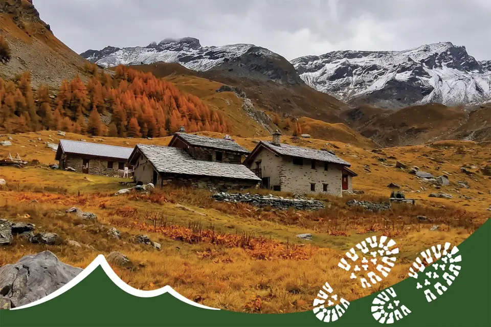 Locandina: Foliage in Val di Rhemes
