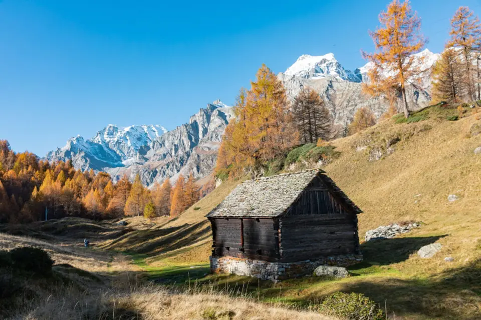 Locandina: Monte Cazzola dall’Alpe Devero