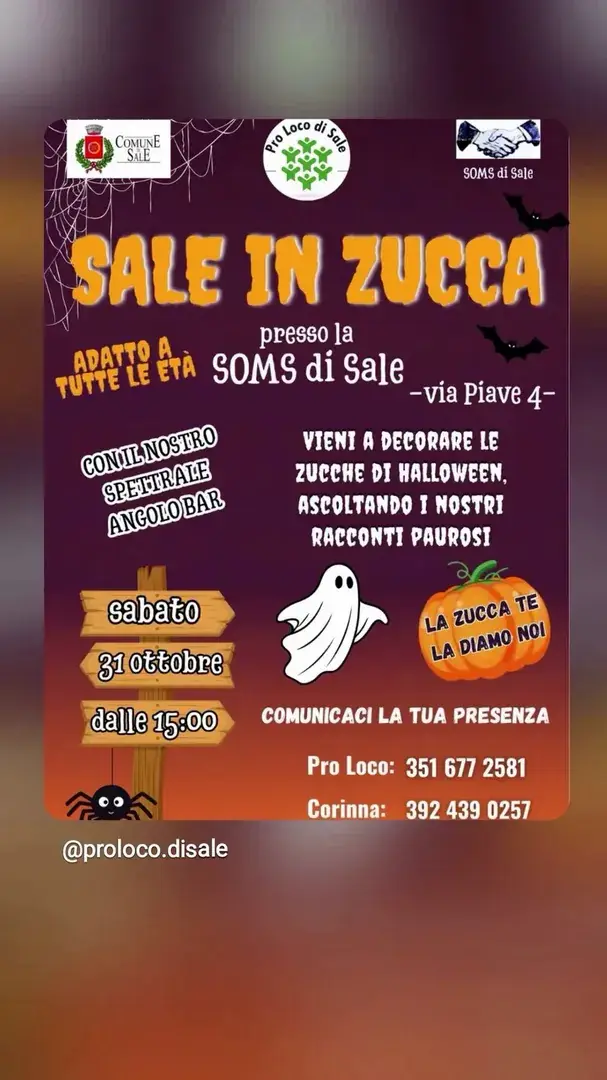 Locandina: Sale in Zucca - Pro Loco di Sale