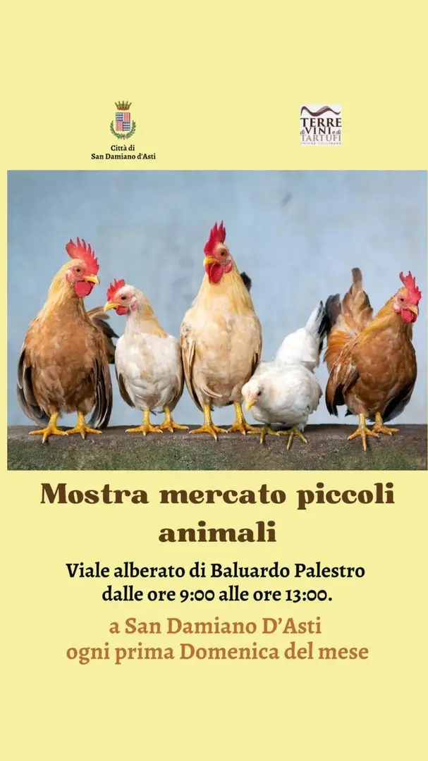 Locandina: Mostra mercato piccoli animali - Città di San Damiano d'Asti